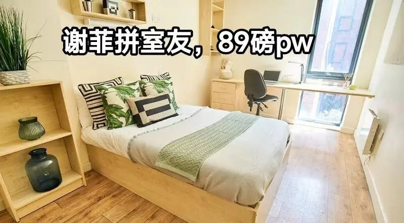 謝菲拼室友，女生，中國室友，呆萌門口～
