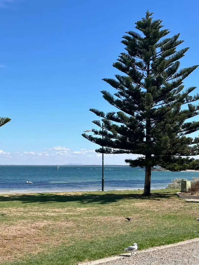 🇦🇺墨爾本闖入「漫畫世界」的結果...