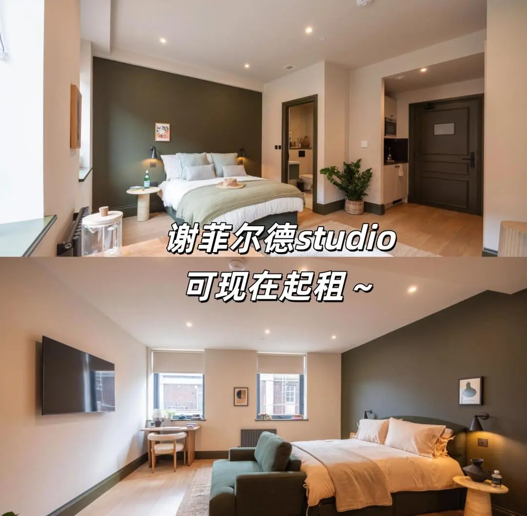 謝菲可以現在起租的studio！步行幾分鐘呆萌