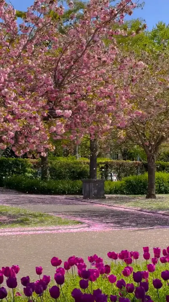 🌷英倫春日花園，闖入莫奈的畫裡