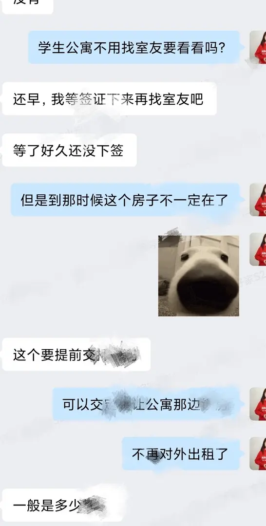 又幫一個雪梨的寶子找到溫馨小窩了
