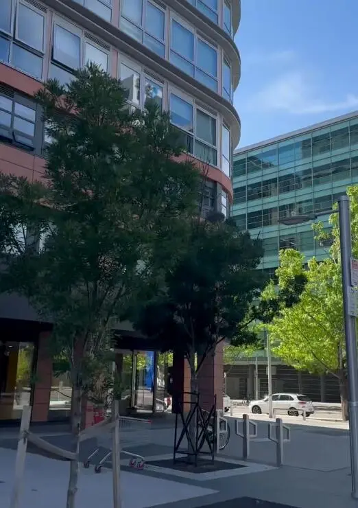 我們的坎培拉租房故事