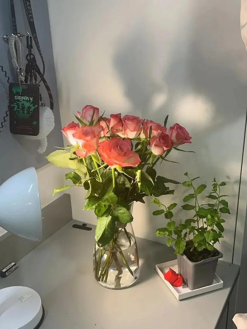 🇬🇧愛丁堡適合i人的留學studio😍