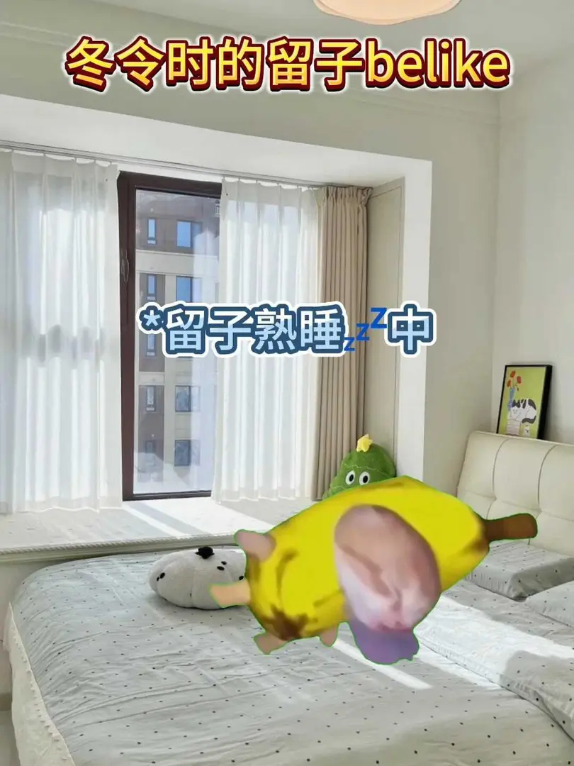 冬令時的留子 be like ......