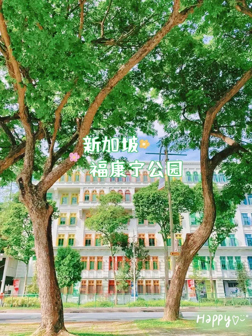 📍新加坡福康寧公園｜絕美網紅打卡地🌿