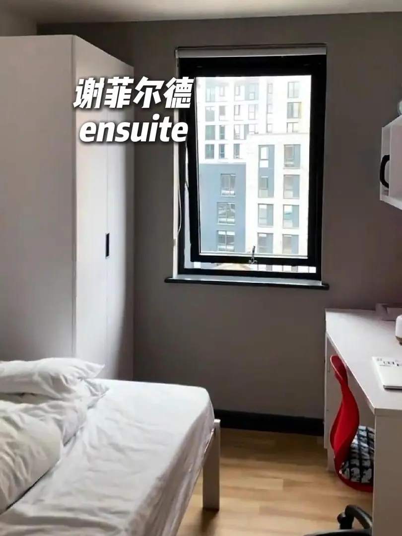 🇬🇧謝菲｜華人留子多到你害怕的公寓！