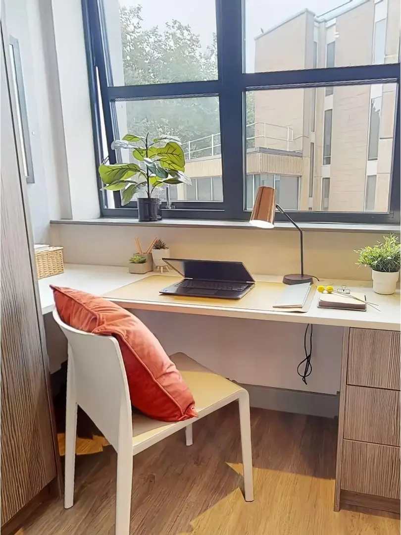 布大新生留步✨studio限時大折扣