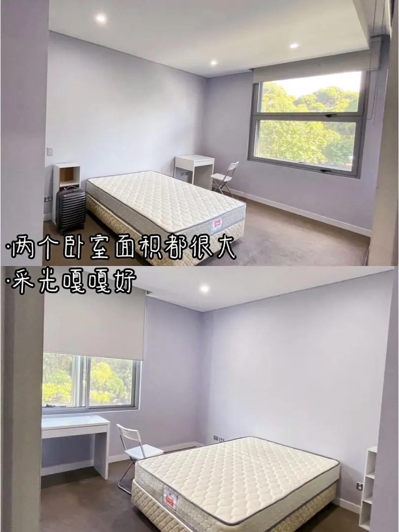 25fall 悉大合租找2b2b女生室友