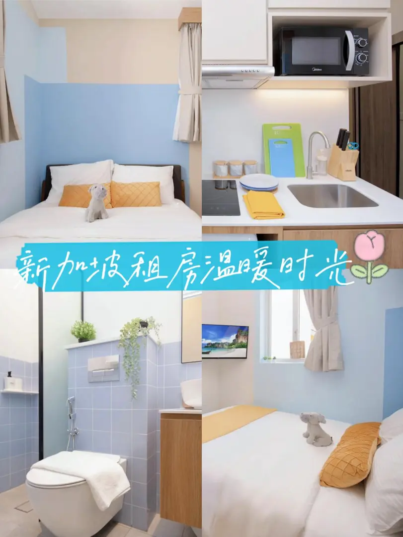 新加坡租房｜小窩裡的溫暖時光✨