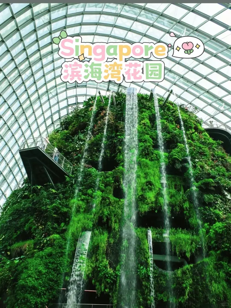 新加坡濱海灣花園｜必打卡的未來之境🌿