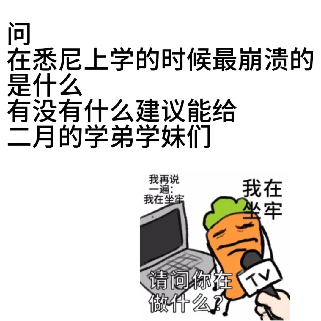 在線等老前輩們的建議貼