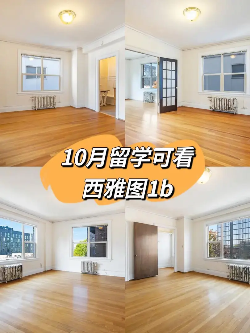 UW新生必看！寵物友好的1b小屋