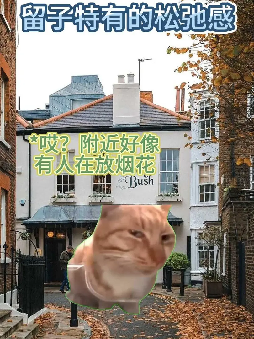 留子特有的鬆弛感......