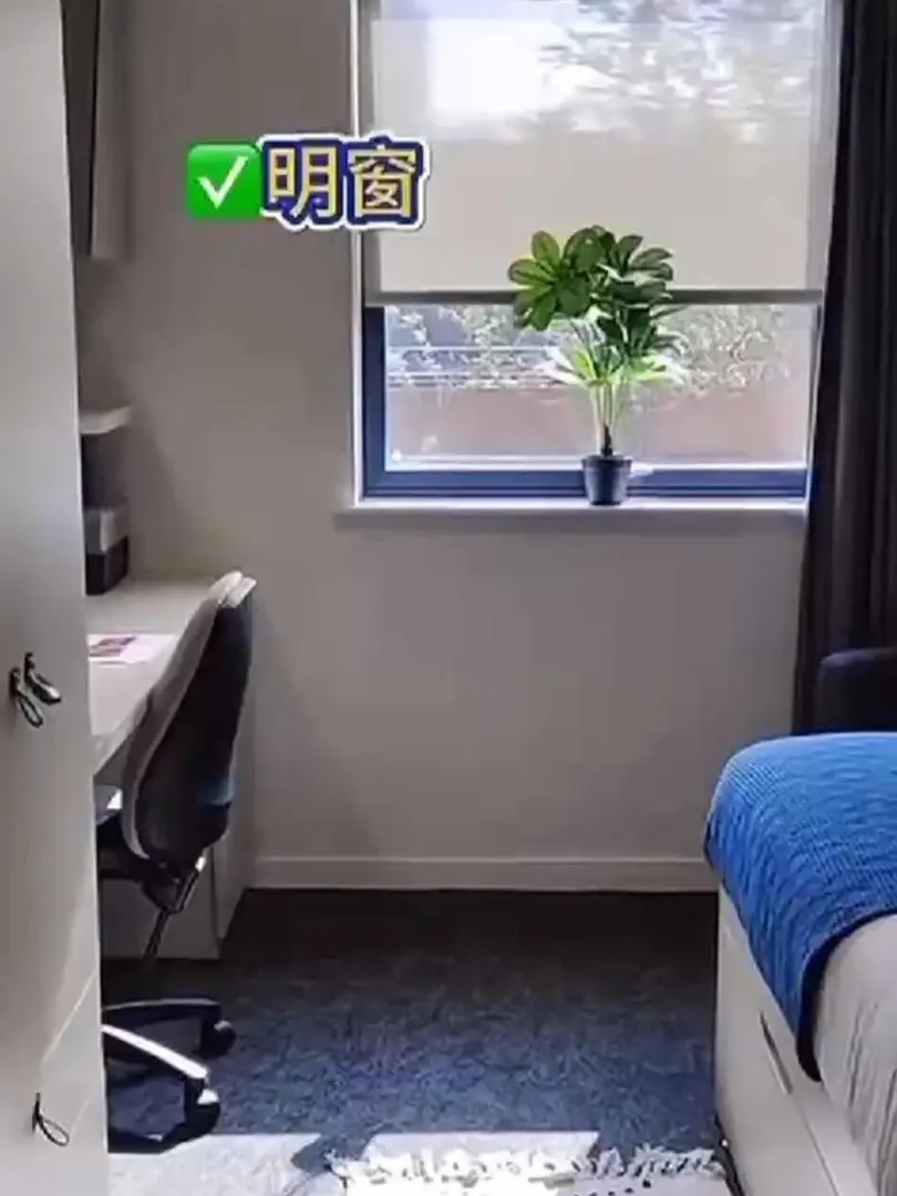 陽光滿屋+大本鐘，打開倫敦留學正確方式！