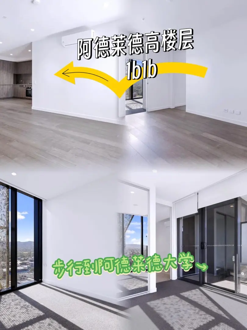 阿德萊德大學門口！高樓層1b1b