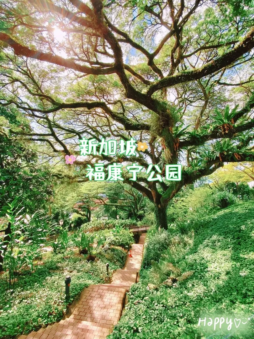 📍新加坡福康寧公園｜絕美網紅打卡地🌿