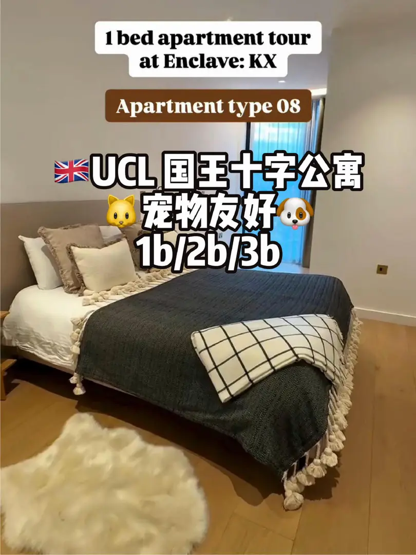 🇬🇧UCL租房｜🐈‍⬛寵物友好公寓