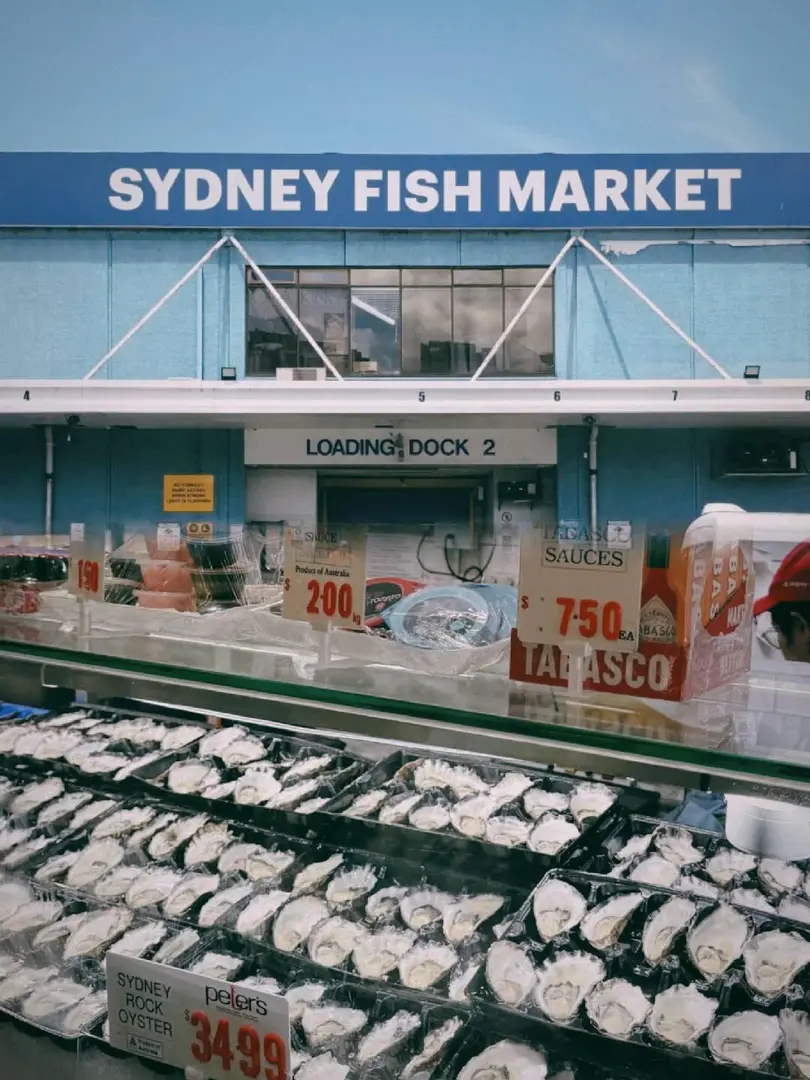 🇦🇺雪梨魚市｜Sydney Fish Market