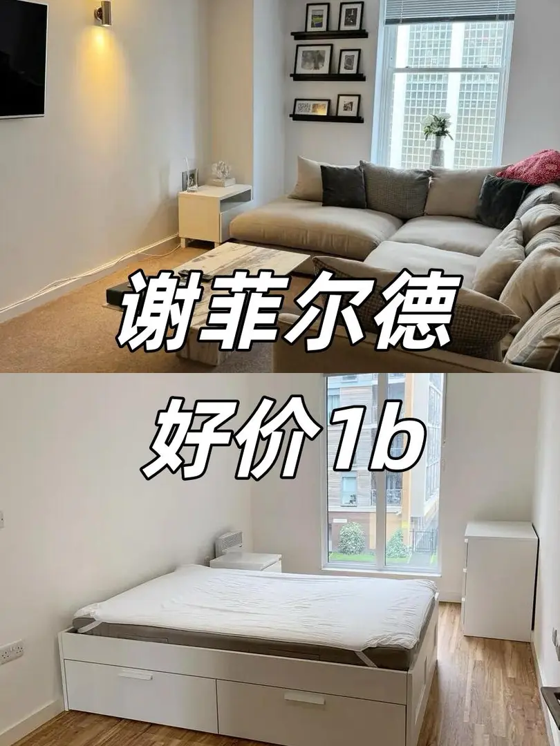 🇬🇧謝菲 | 5分鐘到呆萌圖書館的公寓！