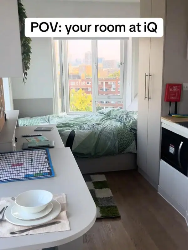 倫敦租房 | 睜眼就是陽光的room