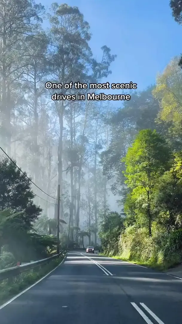 墨爾本山裡的風景也是美的讓人合不上嘴