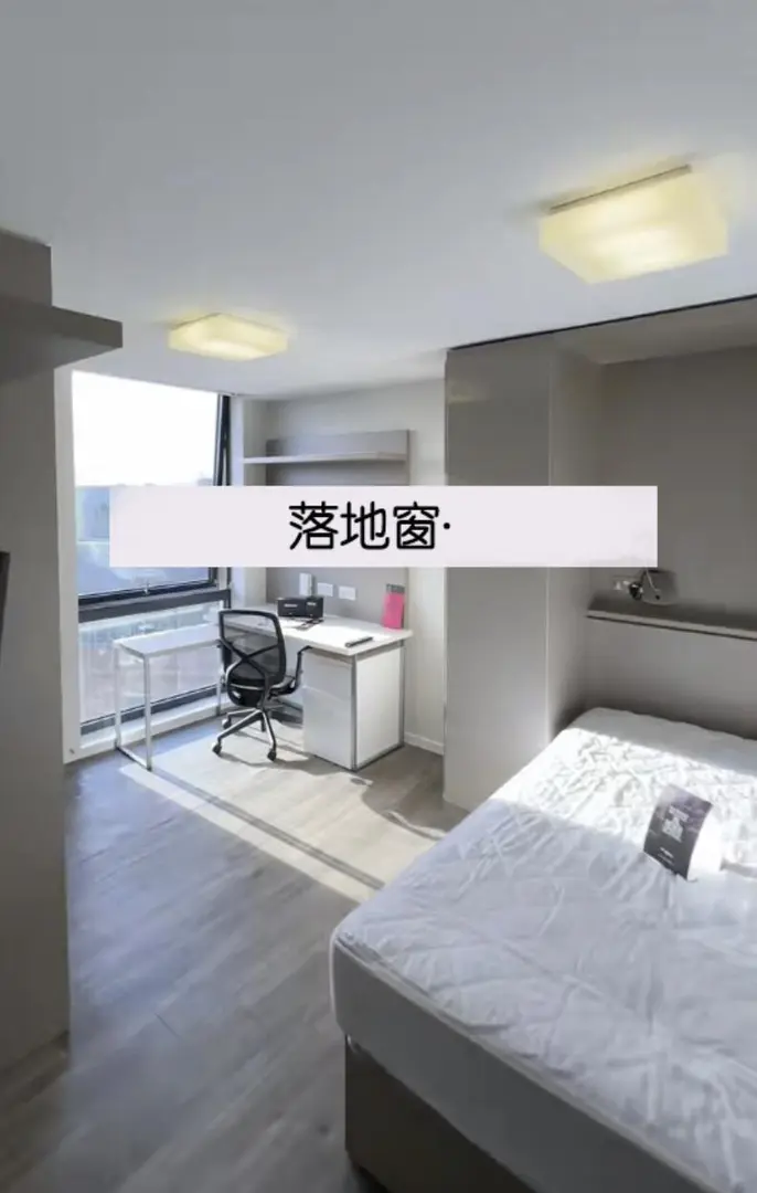 紐卡租房｜這採光，真想放個大綠植