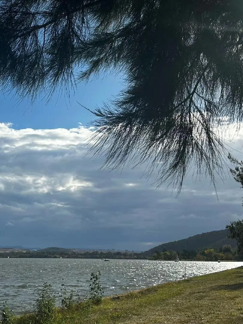🇦🇺坎培拉真的會反覆愛上...