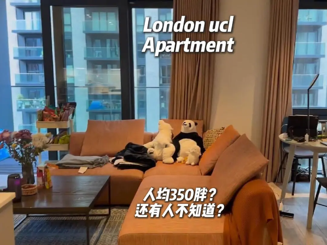🔥倫敦ucl直達2B只要300胖？可小貓小🐶
