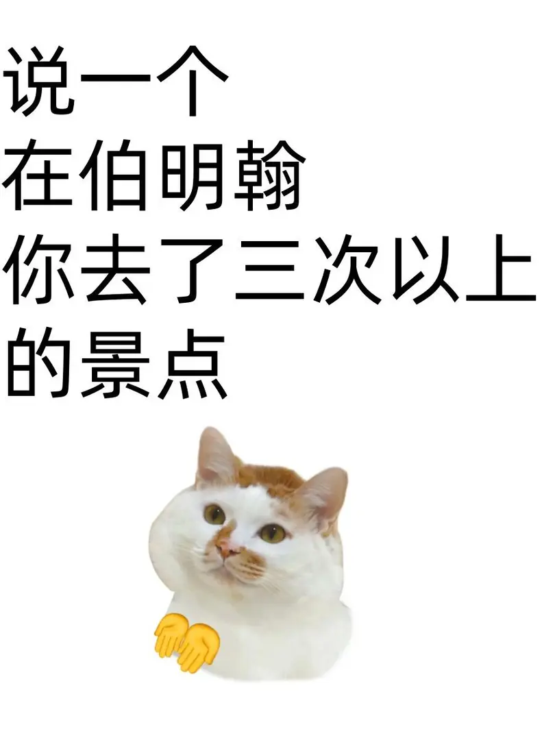 說一個伯明罕你去了三次以上的景點！