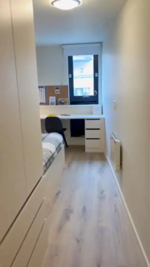 布里斯托ensuite