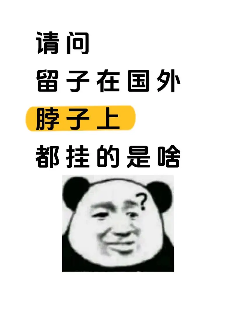 請問留子在國外脖子上掛的都是啥？