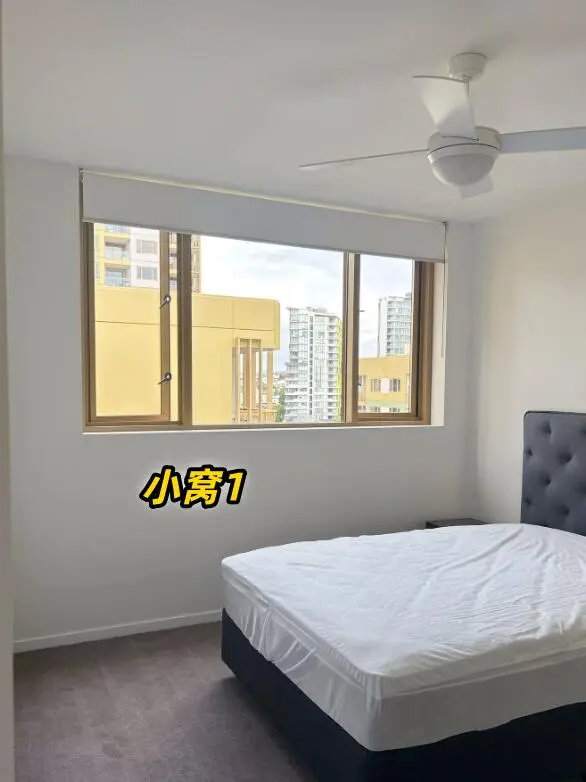 🇦🇺布里斯班2b1b出租，city附近﻿﻿！