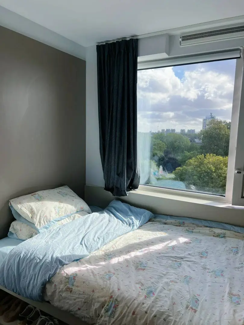 倫敦租房必看🏠河景+地鐵！手慢無😭