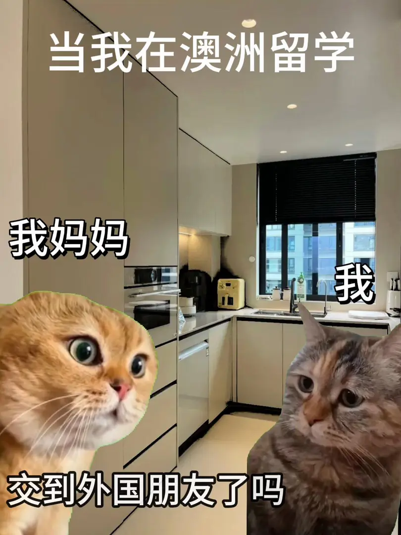 當我在澳洲留學收到媽媽的突然關心時...