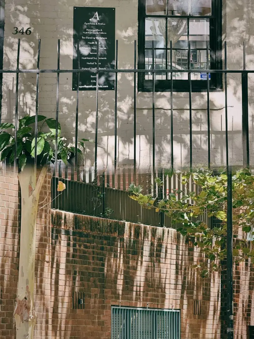 雪梨Surry Hills｜我永遠懷念這裡的夏天