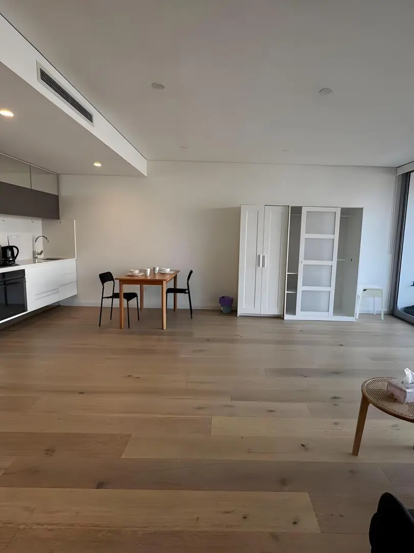 悉大周邊大面積1b1b，全屋落地窗，可短租~