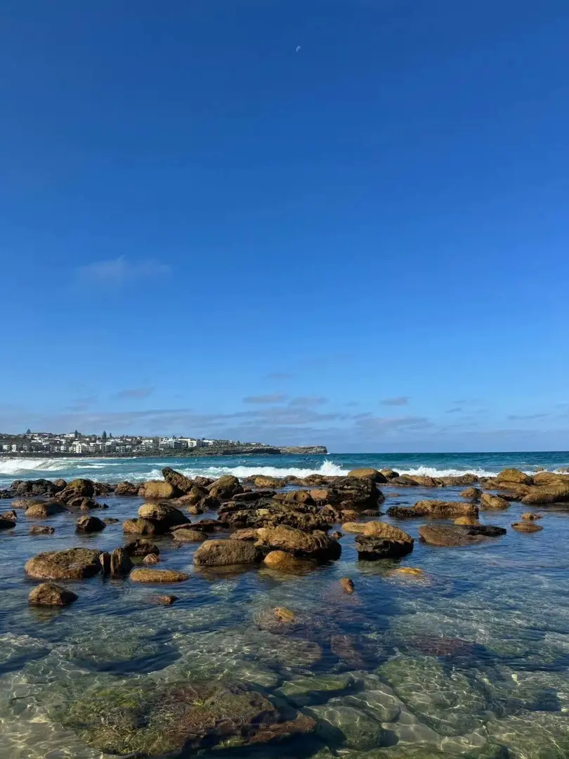 🇦🇺雪梨留子悟了，躺一下午的含金量