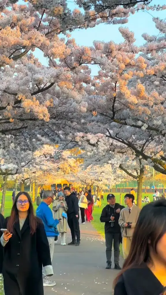 🇬🇧倫敦｜一定要在春天來一次這個地方