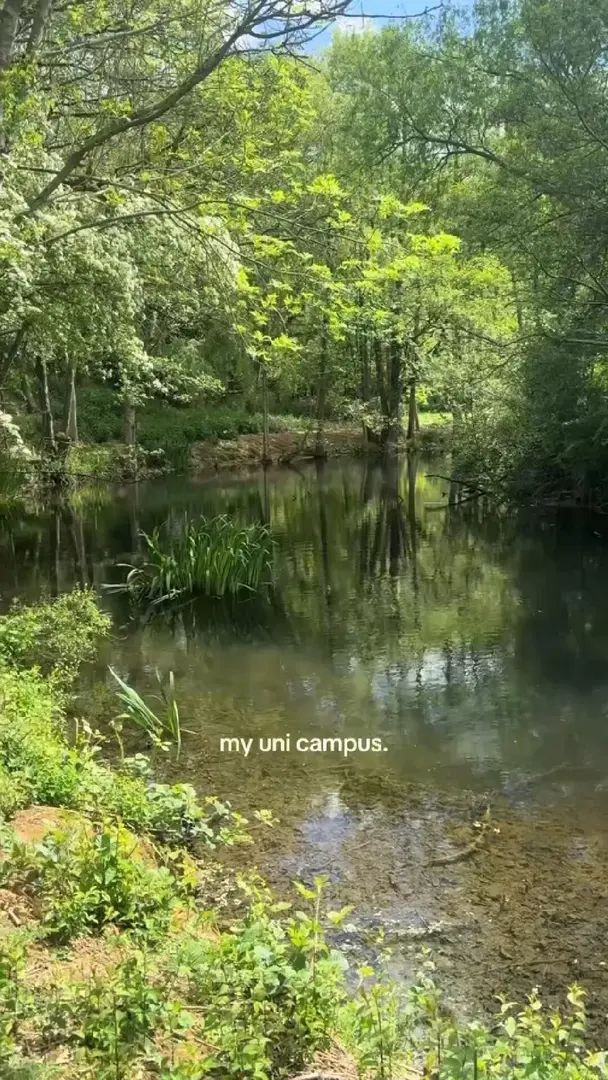 私藏治癒系角落｜華威周邊的綠野仙蹤秘境