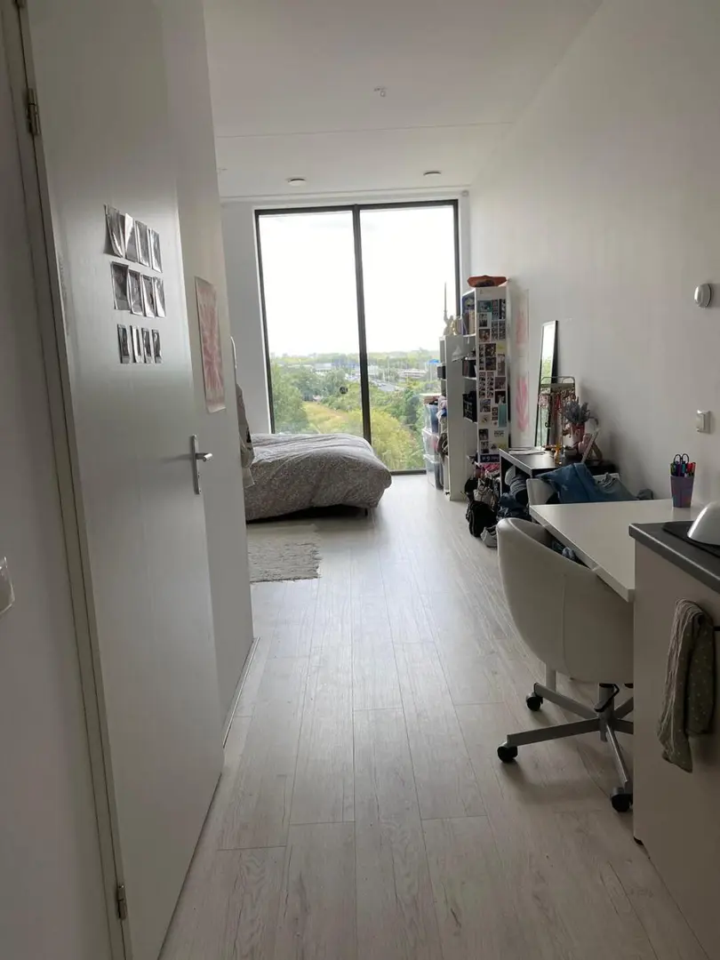 諾丁漢全景落地窗studio 100pw轉租
