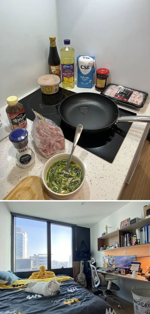 墨爾本租房🏠華人友好不社恐！