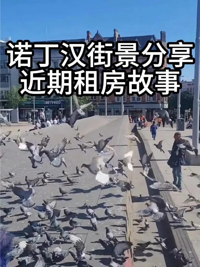 🌸諾丁漢街景實拍｜近期租房故事