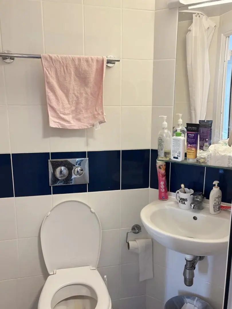 倫敦UCL便宜轉自住ensuite，20min到UCL