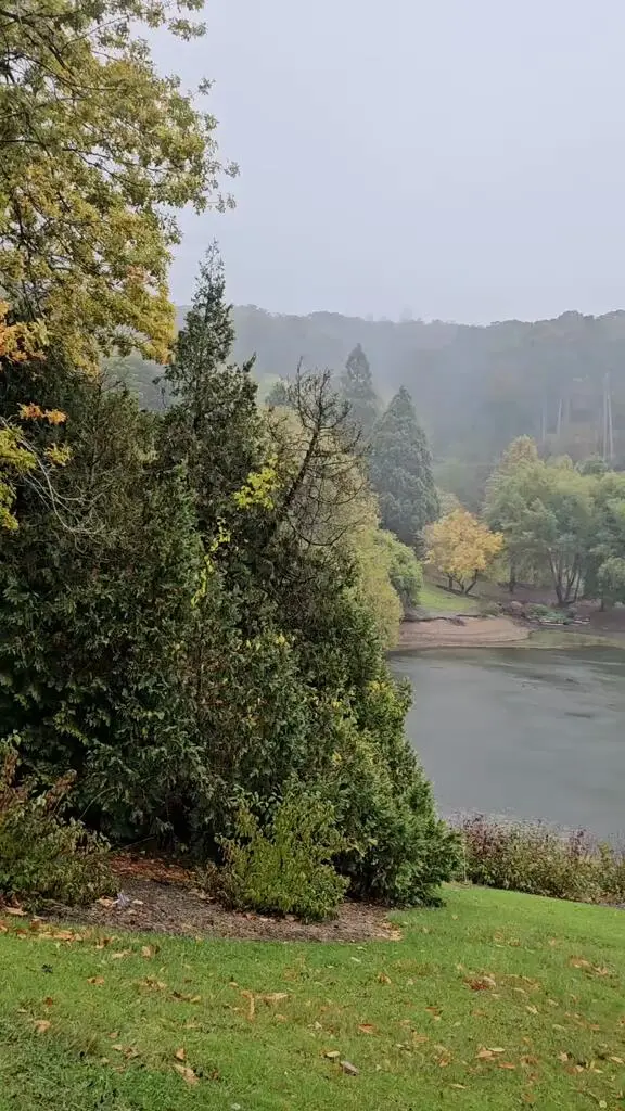 南澳🇦🇺下雨露營，也是另一種風格