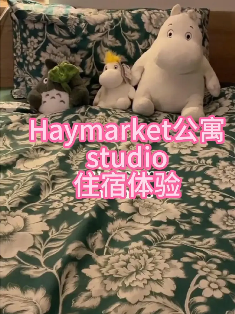 愛丁堡租房250胖Studio，明年我還要續!