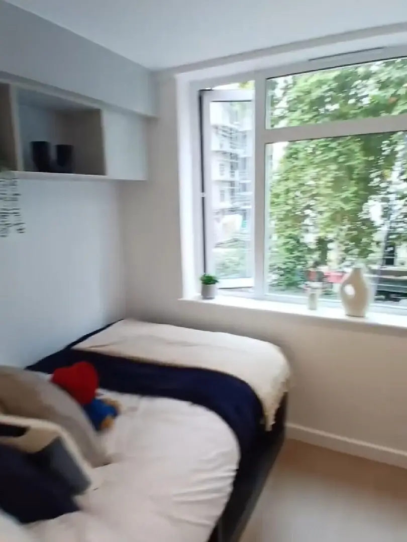 倫敦必住的studio，躺床上就能看窗外的綠植