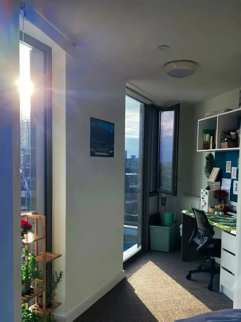 UCL租Studio準備300pw就夠了