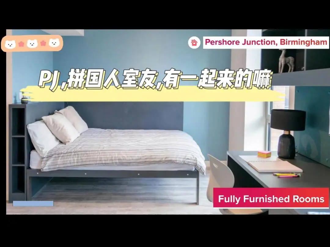 伯明罕租房| 新公寓,近伯大,有一起來的嘛?