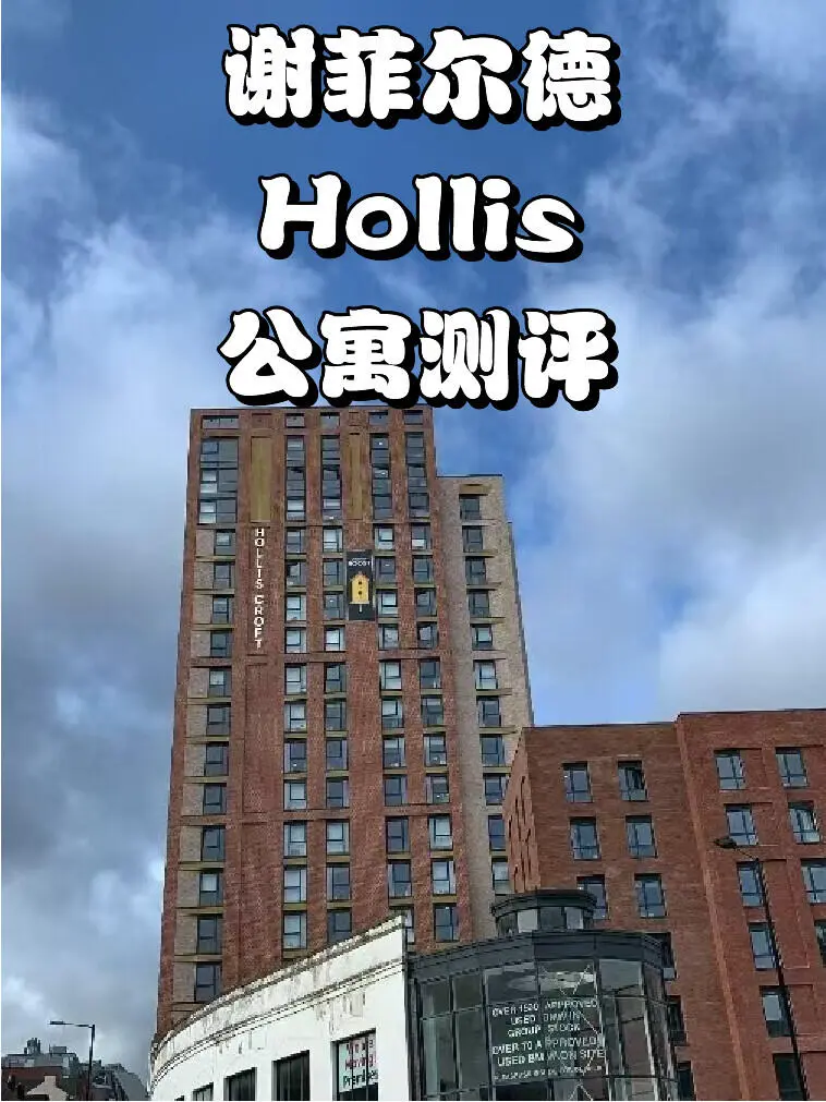 謝菲｜Hollis測評（25新版）🌟🌟