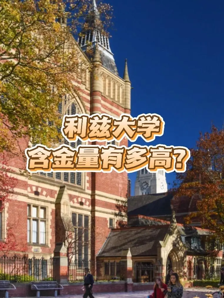 不談成績，只談含金量！利茲大學🎓